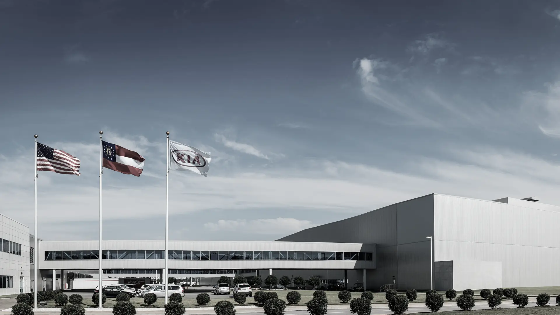 From Underdog <br>to Iconic Brand